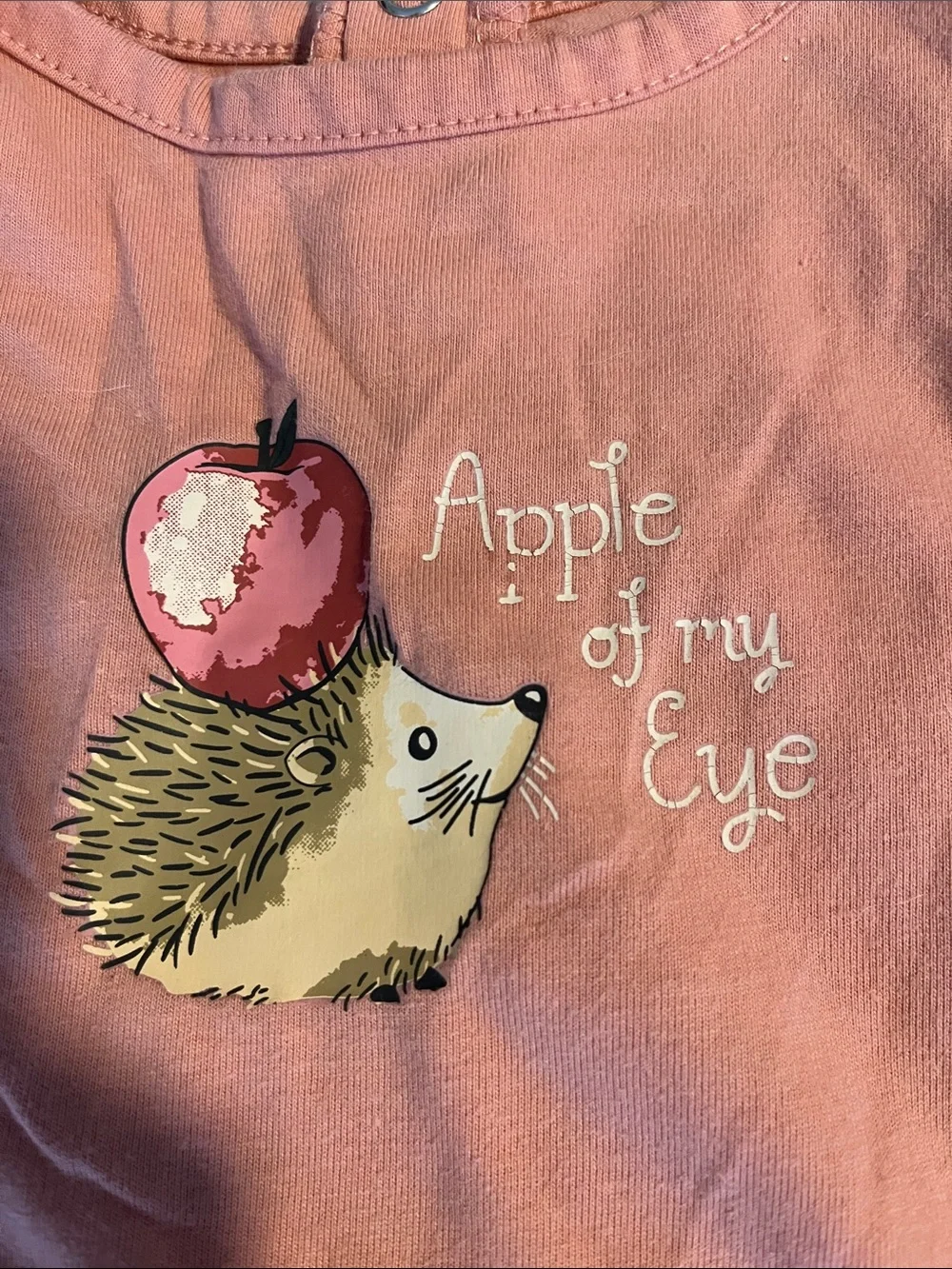Clay Pink One-Piece Romper with Hedgehog & Apple Graphic Size 0-3 Months